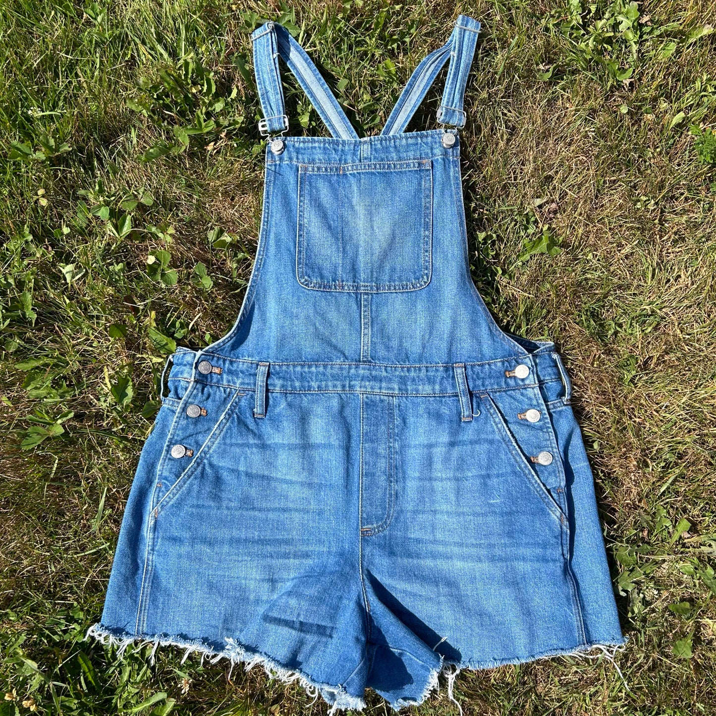 Madewell Size XL Overalls
