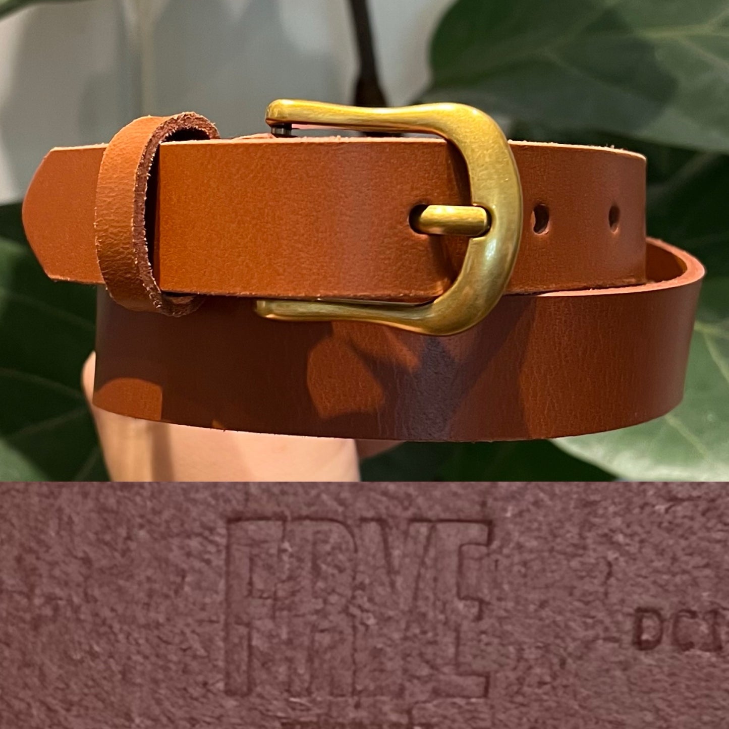 FRYE Belt