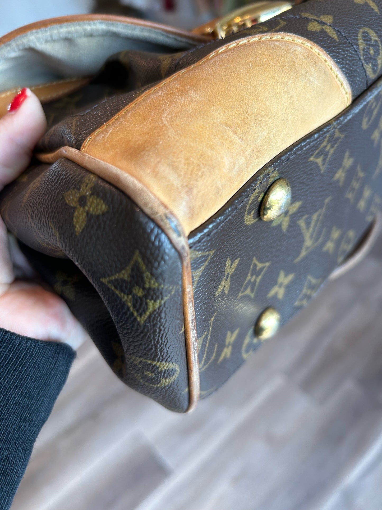 Louis Vuitton Bag