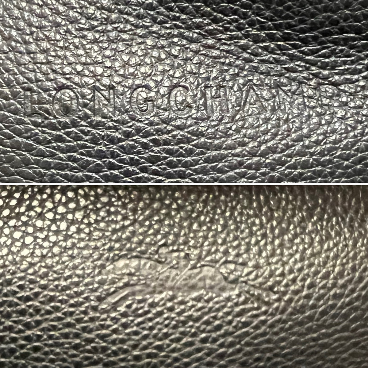 Longchamp Bag